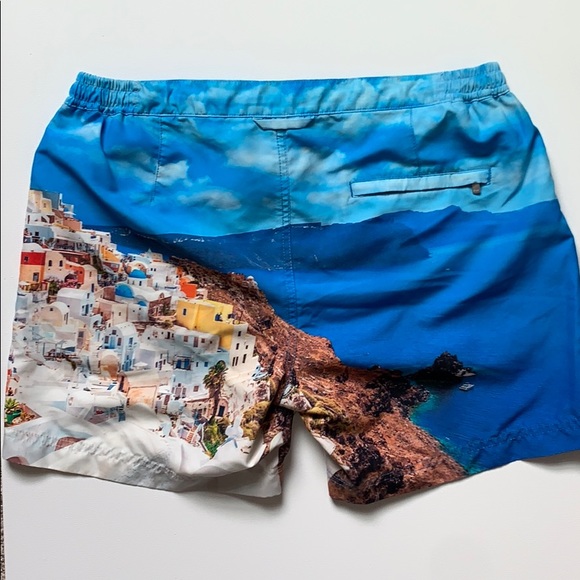 Bluemint Swim Trunks - Picture 4 of 5